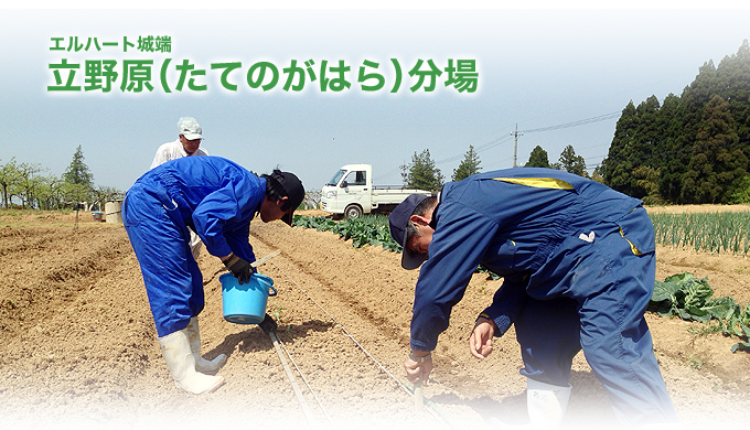 エルハート城端 立野原（たてのがはら）分場